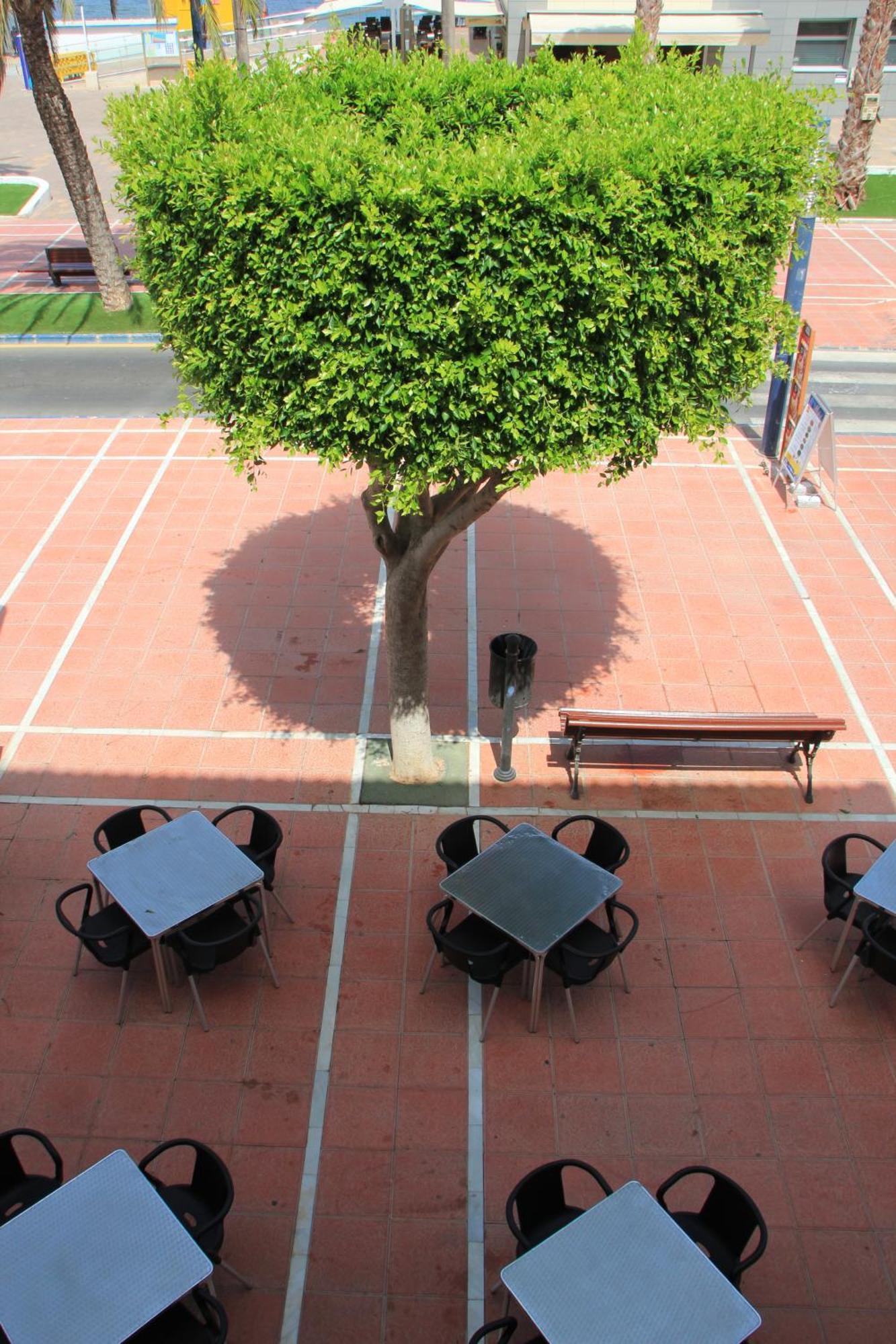 Hotel El Marino Santiago De La Ribera Room photo